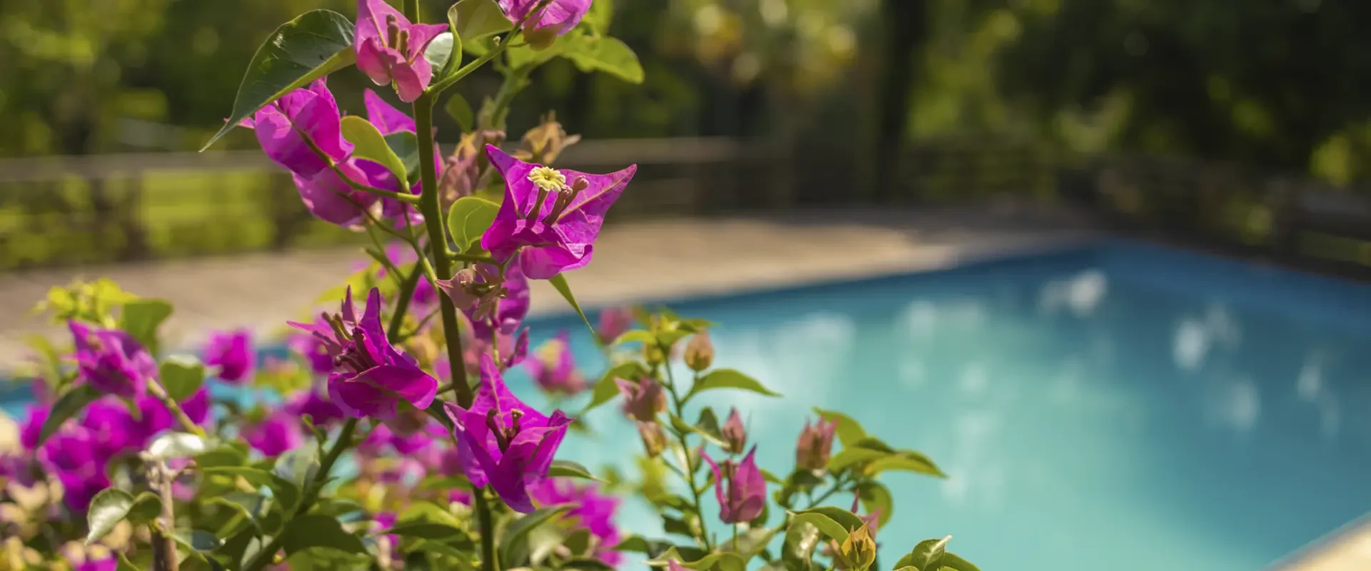 Sítio Estilo do Campo